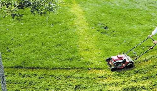 昆山绿化养护之草坪修剪注意事项